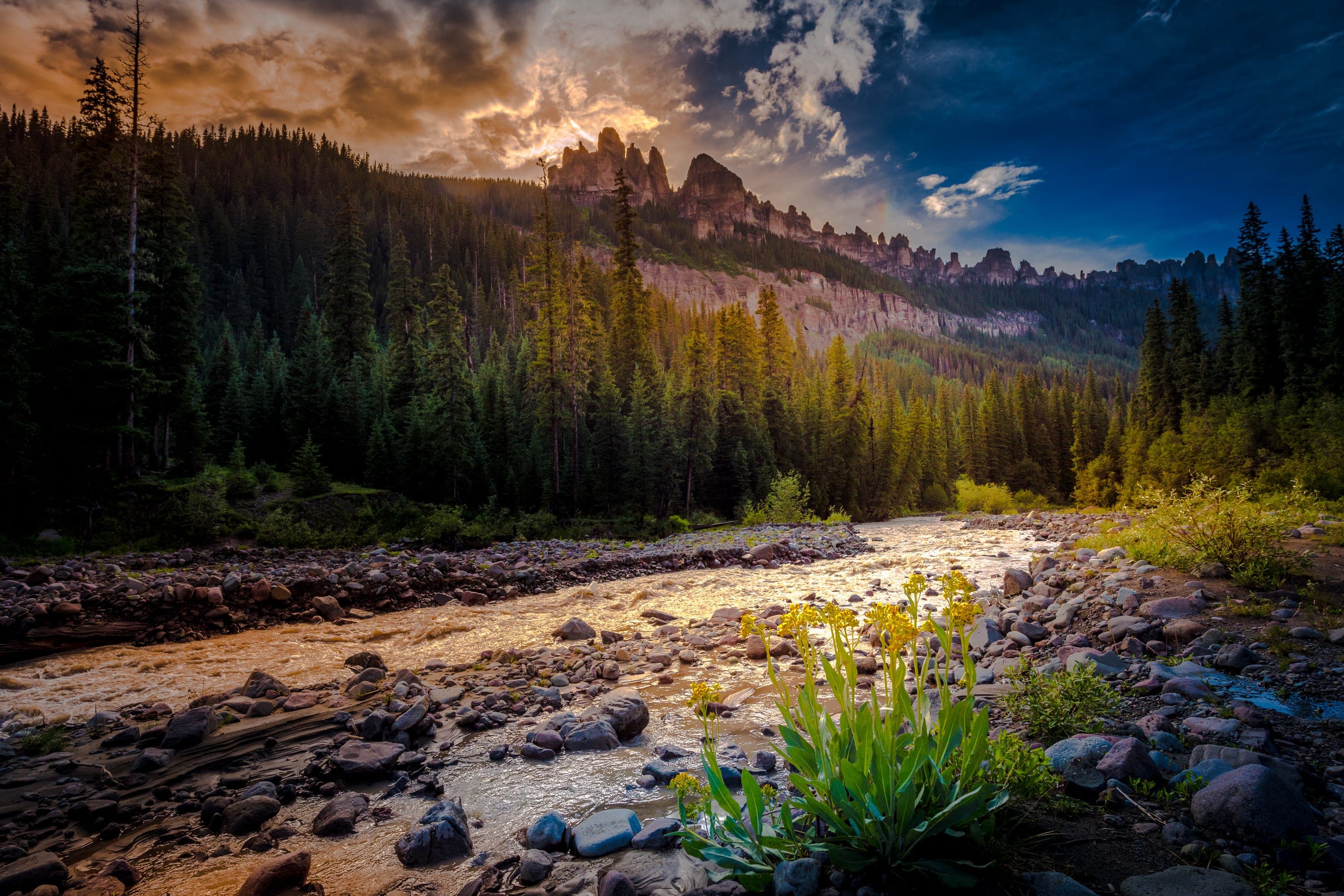 River through pine forest below sandstone cliffs at sunset
